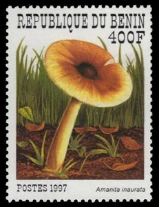 BENIN 1034 - "Amanita inaurata" Mushroom (pf34443) - Picture 1 of 1