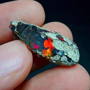 Ethiopian Smoked Black Opal Rough 14.80 Carats | Intense Rainbow Fire Black Opal - Picture 1 of 6