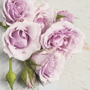 Paper Decoupage Individual Two Luncheon - EUROPEAN DESIGN ROSES ROSE - Picture 1 of 10