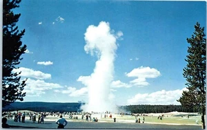 Old Faithful Geyser, Upper Geyser Basin, Yellowstone National Park Postcard - Picture 1 of 2