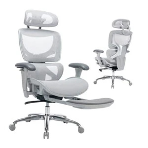 Ergonomic Mesh Office Chair with Footrest, High Back Computer Executive Grey - Picture 1 of 7