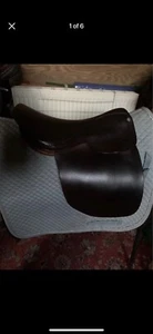 16’ Med/wide Show Pony Havana English Saddle - Picture 1 of 6