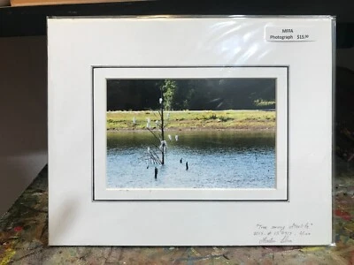 Fotografía en color mate firmada aves de 8 x 10 pulgadas en estanque de árboles muertos país de Texas Foto 1 de 2