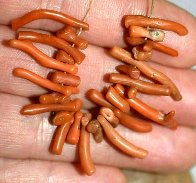 Antique Natural Red Coral Bead Branches Collected From Nigeria, African Trade - Image 1 of 3