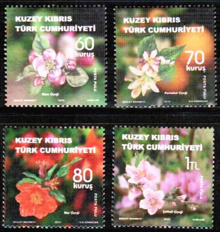 SIN MONTAR COMO NUEVO 2014 ÁRBOL FRUTAL FLORES CHIPRIOTA TURCO Foto 1 de 1