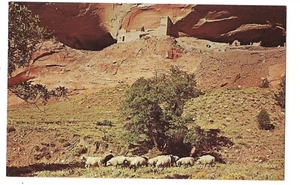 MUMMY CAVE RUIN Canyon De Chelly National Monument Chinle Arizona AZ Postcard - Picture 1 of 1