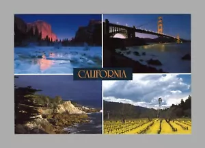 Postcard Continental Greetings From California San Francisco CA - Picture 1 of 2