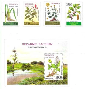 #8542 BELARUS 1996 FLORA FLOWERS SET+SOUVENIR SHEET YV 185-8+BL 15 MNH - Picture 1 of 2