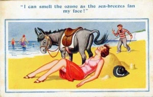 PRINTED COMIC DONKEY POSTCARD "I CAN SMELL THE OZONE" BY INTER-ART - Picture 1 of 2