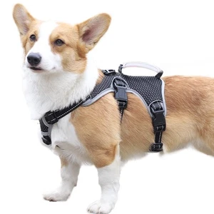 No Escape Dog Harness, Escape Proof Harness, Fully Reflective Harness with Pa... - Picture 1 of 5