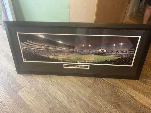 Chicago White Sox Comiskey Park, rob arra Top of the Fifth 43x19 Framed No Glass Cover