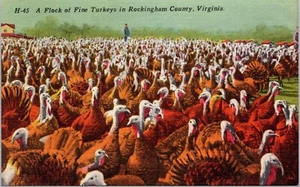 Postal Turquía Granja Condado de Rockingham Virginia - Imagen 1 de 2