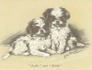 Japanese Spaniel Puppy - CUSTOM MATTED - Dog Art Print - Lucy Dawson - Picture 1 of 1