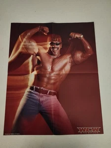 BUFF BAGWELL NWO WCW Wrestling Magazine Insert Poster Double Sided - Picture 1 of 2
