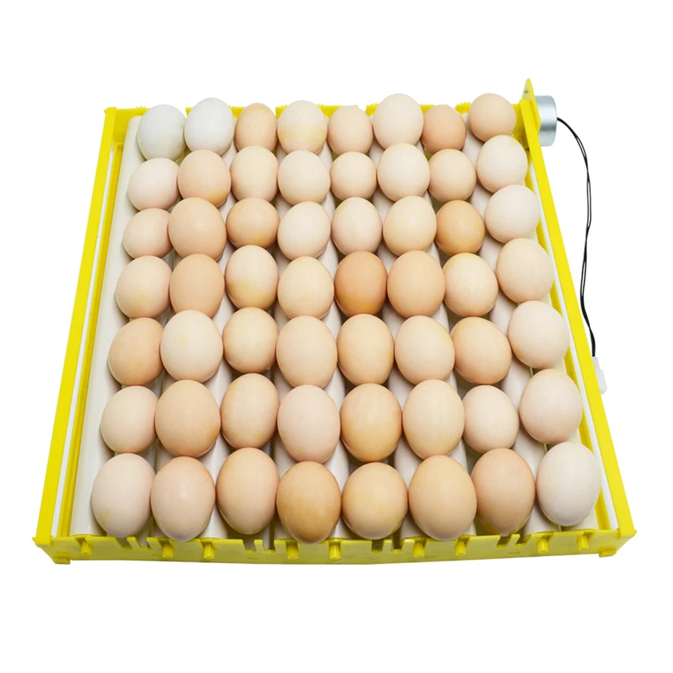MARKENLOS Egg Incubator Tray Automatischer Eierwender für Ente Pigeon Wachteln 9