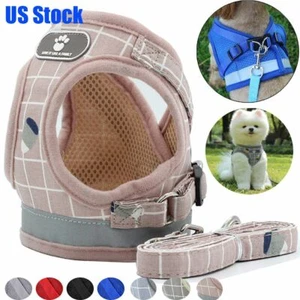 Mesh Padded Soft Puppy Pet Dog Harness Breathable Comfortable Many Colors S M L - Picture 1 of 20