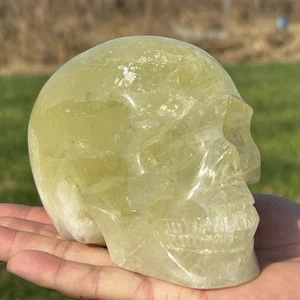2,75 lb Cuarzo Citrino Natural Tallado a Mano Calavera Cristal Reiki Gema Curativa Regalo - Imagen 1 de 19