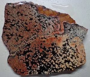 WRG - Feuerwerk \ Blühende Obsidianplatte 208 Gramm Lapidar grob Altbestand - Bild 1 von 4