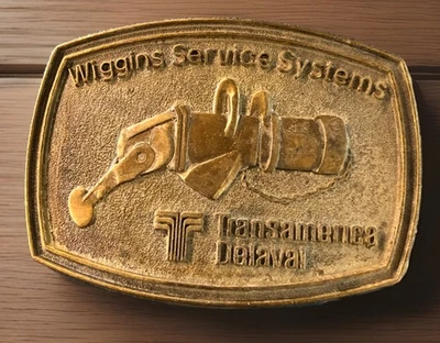Hebilla de cinturón WIGGINS SERVICE SYSTEMS TRANSAMERICA DELAVAL #16 de la década de 1970 Foto 1 de 4