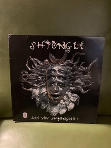 Shpongle – Are You Shpongled? 2 LP Vinyl Original Limited Numbered Twisted VG+ - Picture 1 of 5