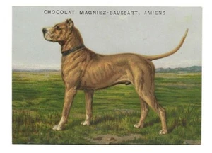 Hund - Chomo Chocolat Magniez-Baussart - Handelskarte - Bild 1 von 2