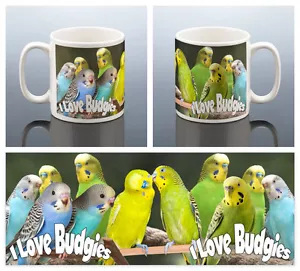 TAZA LOVE BUDGIES Regalo de Cumpleaños Ella Él Budgie Papá Taza Mujeres Amiga Navidad - Imagen 1 de 5