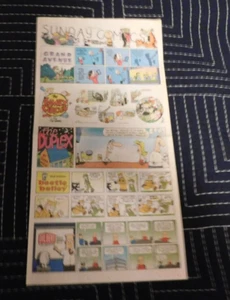 Sunday Comics Newspaper Section July 30, 2017 The Holland Sentinel Michigan - Picture 1 of 4