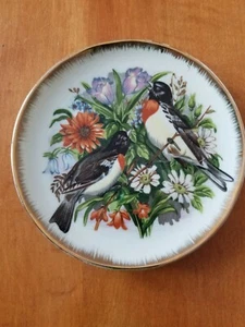 Porcelain Plate with Gold Trim 7" with Black Birds  - Picture 1 of 4