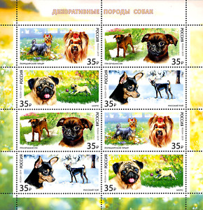 RUSSLAND 2019 Kleinbogen design Hunde Toy Dogs Fauna Animals Tiere, postfrisch
