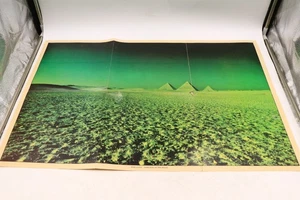 2x Blau & Grün Pink Floyd "Dark Side of the Moon" Pyramiden Poster 20 x 30" - Bild 1 von 21
