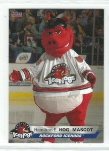 2005-06 Rockford IceHogs (UHL) Hamilton E. Hog (mascot)