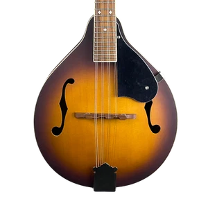 Fender PM-180E Mandolin, Aged Cognac Burst (used) - Picture 1 of 5