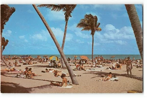 MIAMI BEACH Bathing & Sun-tanning FLORIDA Palm Trees 1950s Vintage Postcard - Picture 1 of 2