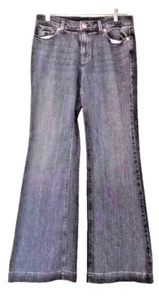 Vintage The Limited Premium Denim Sexy Cassidy Flare Jeans Woman's Size 6 NWT - Picture 1 of 4