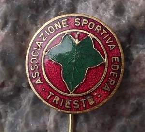 Vintage ASD Associazione Sportiva Edera Trieste Ice Hockey Team Pin Badge - Picture 1 of 2