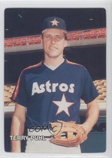 1987 Mother's Cookies Houston Astros Stadium Giveaway Terry Puhl #7