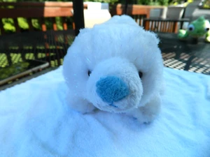 Webkinz Arctic Polar Bear  - HM342 White Polar Bear W/ Blue Nose no code. - Picture 1 of 22
