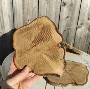 Wooden Slices Crafts 1-23CM LOCAL Wood Log Discs Round Wedding Rustic Coasters - Picture 1 of 51
