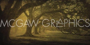 Oak Alley Morning Shadows, William Guion, Wall Decor Home Art Print 12" x 24" - Picture 1 of 1