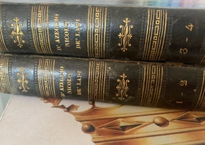 π΄ libri volumi I PALLESCHI E PIAGNONI De Lapi D'Azeglio Firenze antichi 1841 - Picture 1 of 11