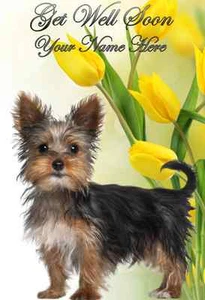 Yorkshire Terrier Get Well Soon  ref PIDY2 A5 Personalised Greeting Dog Design  - Picture 1 of 1