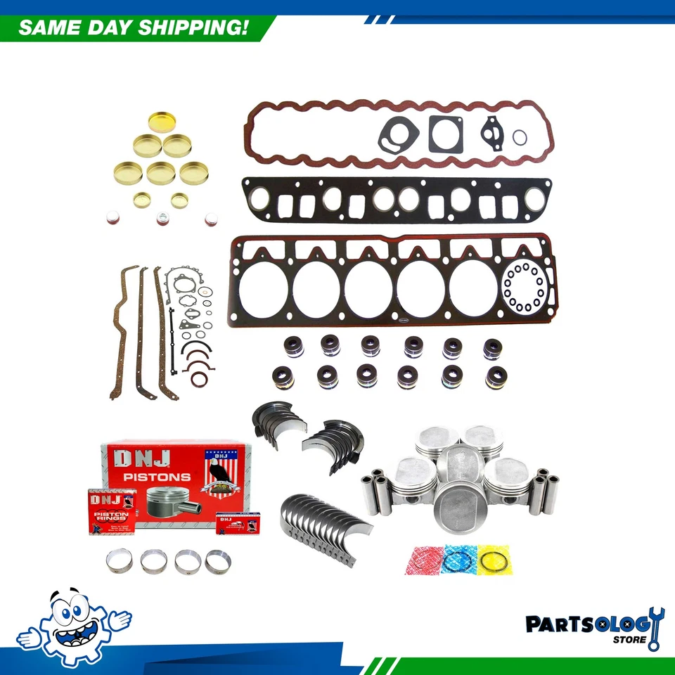 Kit de reconstrução de motor DNJ EK1120 para 1991 Jeep Cherokee Comanche 4.0L L6 OHV 12v - Imagem 1 de 4