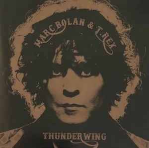 MARC BOLAN & T.REX - THUNDER WING CD ~ ROCK ON~THE SLIDER T. REX 70's GLAM *NEW* - Picture 1 of 1