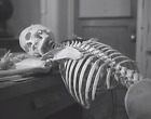 Vintage Creepy Skeleton At Work Photo Print Strange Wall Decor Spooky Photo