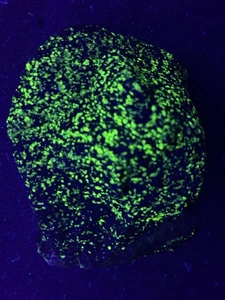Fluorescent Willemite Franklinite Mineral Sterling Mine, New Jersey ( 17) - Picture 1 of 10