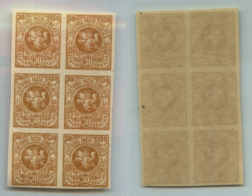 Lituania 1919 SC 53 MNH bloque imperf de 6. rtb8970 Foto 1 de 1