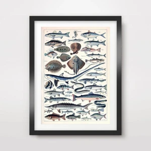 SEA FISH FISHING CHART SEASIDE NAUTICAL ART PRINT Poster Seafood Decor Wall - Picture 1 of 3