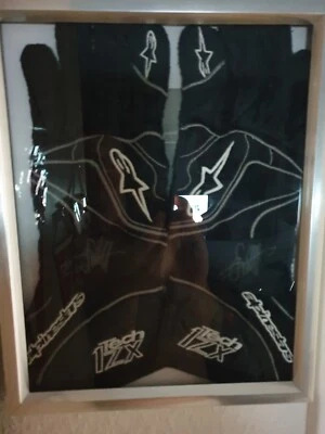 Sebastian Vettel Alpinestars Kart Handschuhe ORGINAL SIGNIERT,mit OVP  - Bild 1 von 2