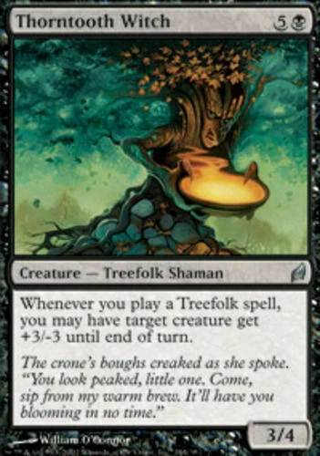 4 Thorntooth Witch - LP - Lorwyn - mtg - x4 4x - Image 1 of 1