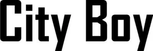 City Boy Vinyl Decal Sticker - Car Truck Door Window - Picture 1 of 10